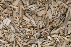 biomass boilers Guist